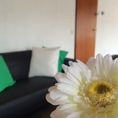 Hotel The Budget