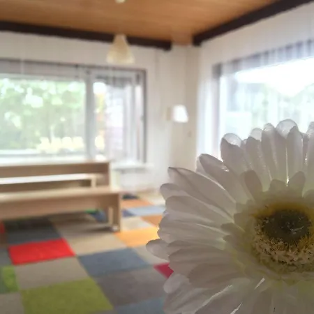 The Budget Hotel 3*